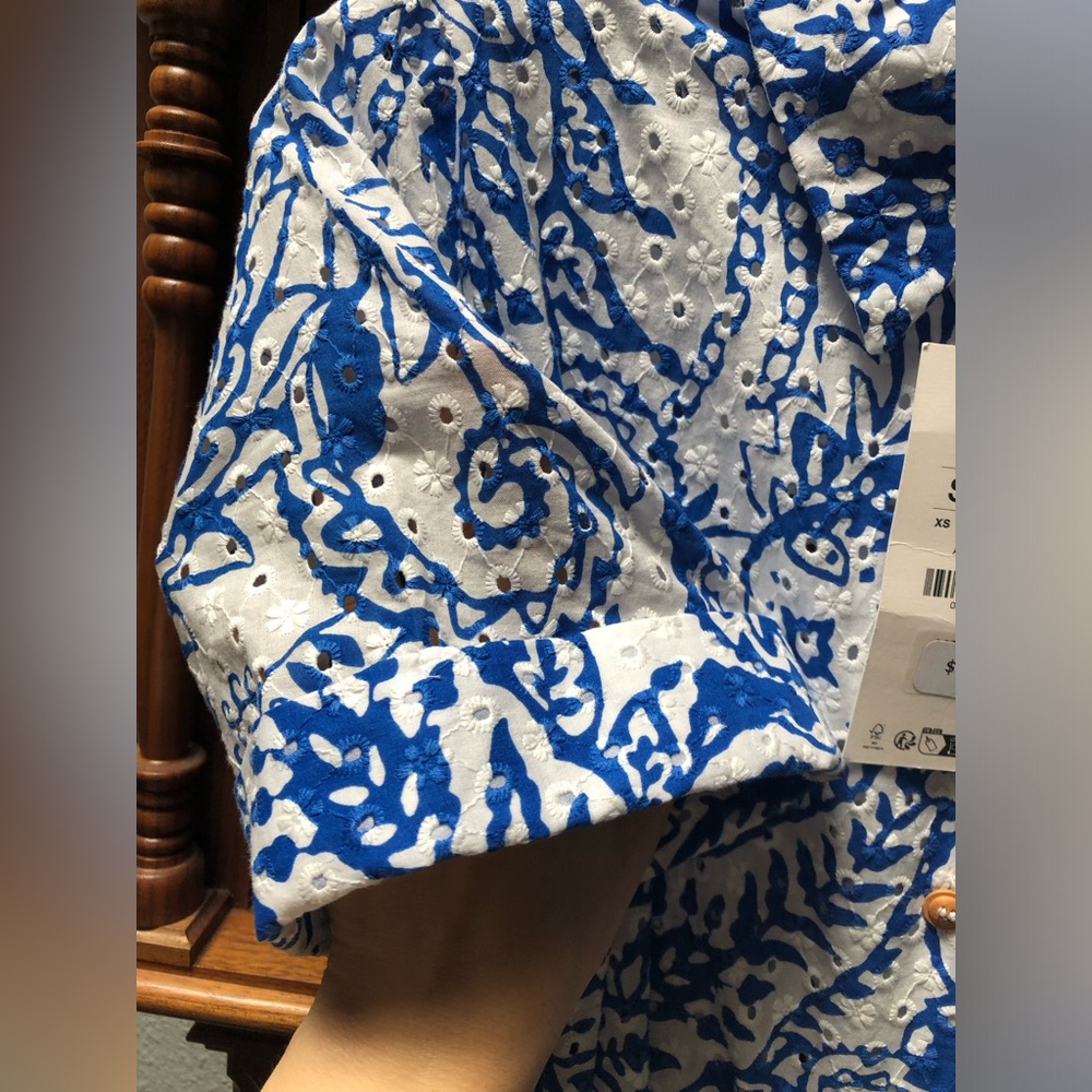 Zara Blue and White Paisley Button-Front Maxi Dress - Picture 6 of 10